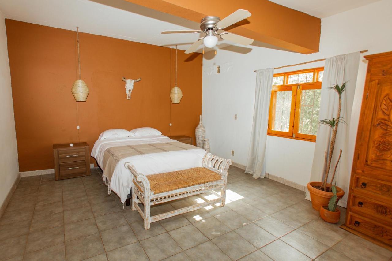 Cien Palmas- Authentic Mexican Casita 1 -Downtown Todos los Santos Esterno foto